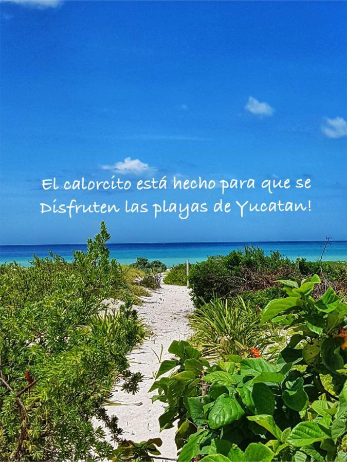La Casa Del Mangle Chicxulub Exterior foto